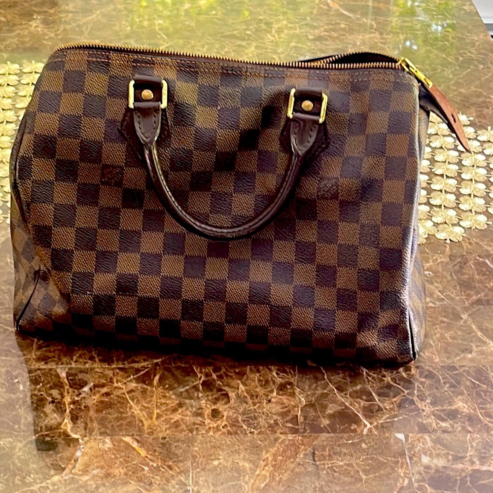 Louis Vuitton Speedy 25 Bag